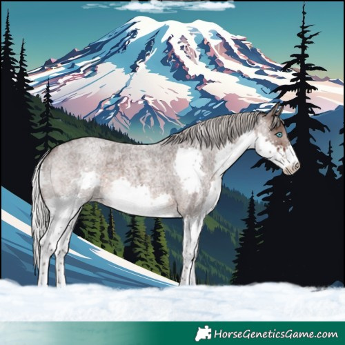Horse Color:Silver Brown Roan Splash Varnish