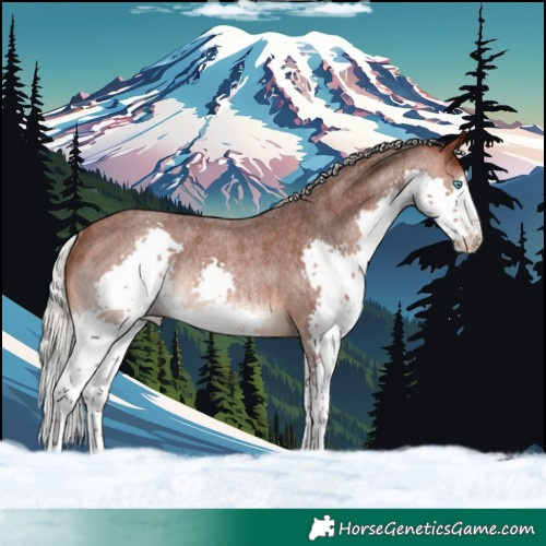 Horse Color:Silver Brown Roan Splash Varnish Rabicano 