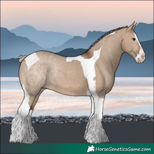 Horse Color:Silver Bay Dun Splash Tobiano 