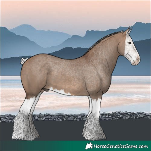 Horse Color:Silver Brown Dun Splash