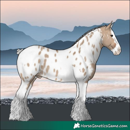Horse Color:Silver Bay Dun Splash Tobiano Near Leopard 