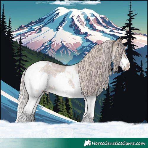 Horse Color:Silver Grullo Roan Splash Tobiano Varnish