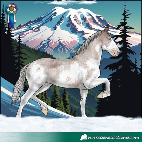 Horse Color:Silver Blue Roan Splash Varnish
