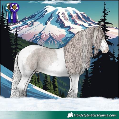 Horse Color:Silver Grullo Roan Splash Tobiano Varnish