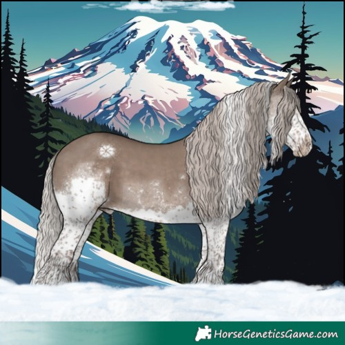 Horse Color:Silver Grullo Splash Tobiano