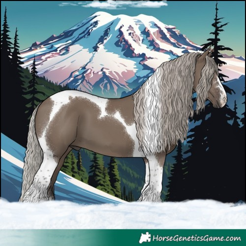 Horse Color:Silver Grullo Tobiano