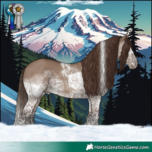 Horse Color:Liver Red Dun Splash Tobiano