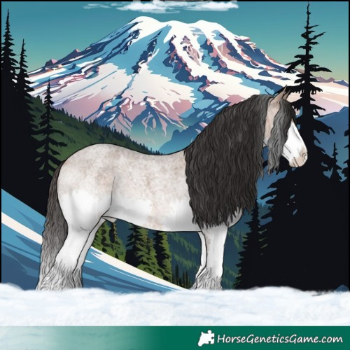 Horse Color:Brown Roan Dun Splash