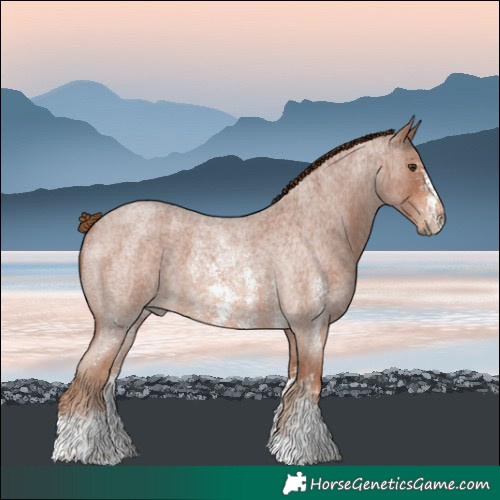 Horse Color:Red Roan Sabino