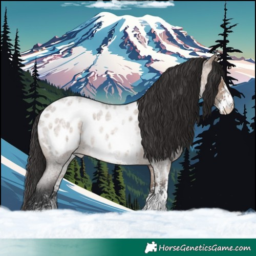 Horse Color:Brown Roan Dun Sabino Near Leopard