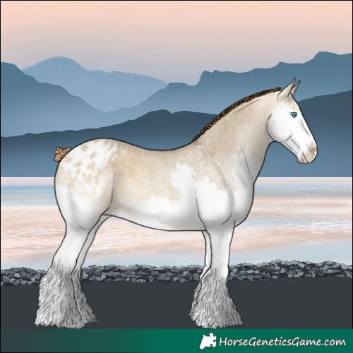 Horse Color:Buckskin Roan Dun Splash Varnish 
