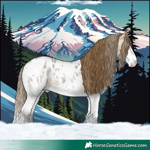 Horse Color:Buckskin Roan Sabino Splash Blanket