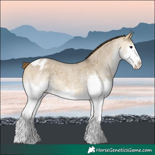 Horse Color:Buckskin Roan Dun Splash Varnish