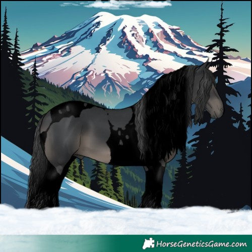Horse Color:Void Black Tobiano