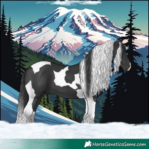 Horse Color:Black Tobiano 
