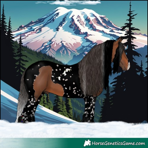 Horse Color:Bay Tobiano 