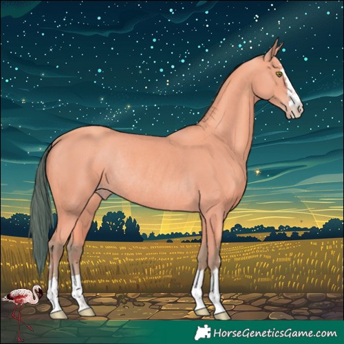 Horse Color:Watercolor Amber Champagne Rabicano