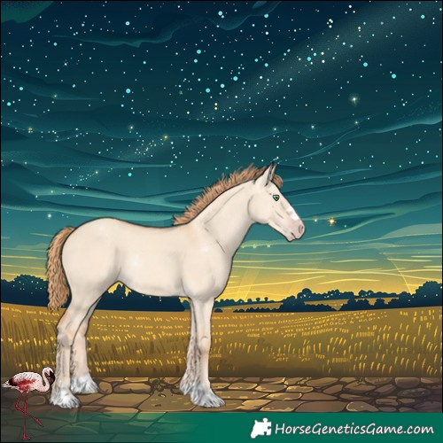 Horse Color:Gold Champagne Dun Rabicano
