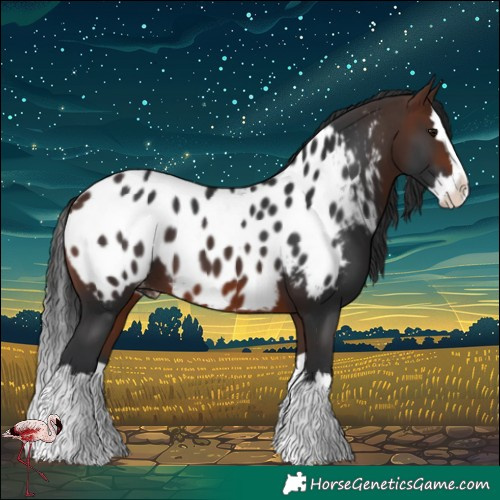 Horse Color:Brown Splash Blanket