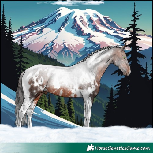 Horse Color:White Spotted Bay Tobiano Rabicano