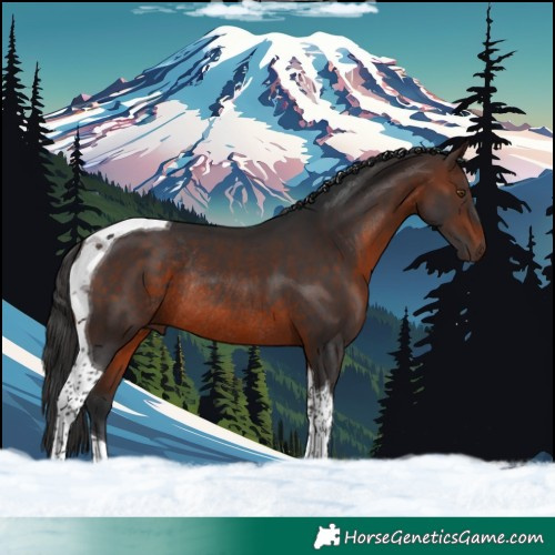Horse Color:Brown Tobiano Rabicano