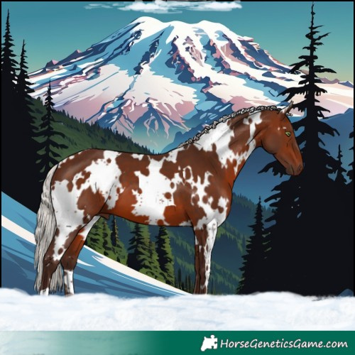 Horse Color:White Spotted Silver Brown