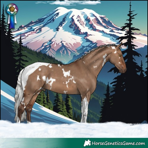 Horse Color:White Spotted Silver Brown Dun Tobiano