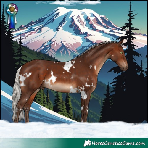 Horse Color:White Spotted Silver Brown