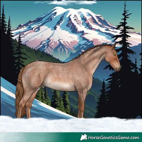 Horse Color:Red Roan Rabicano 