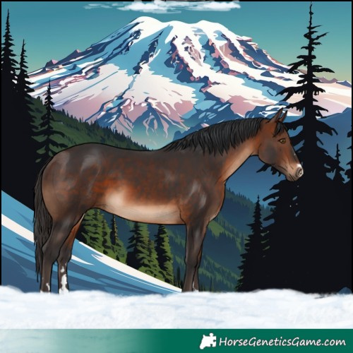 Horse Color:Brown 