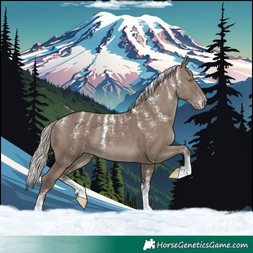 Horse Color:Powder White Silver Grullo