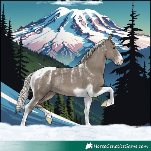 Horse Color:Powder White Silver Grullo Tobiano Rabicano
