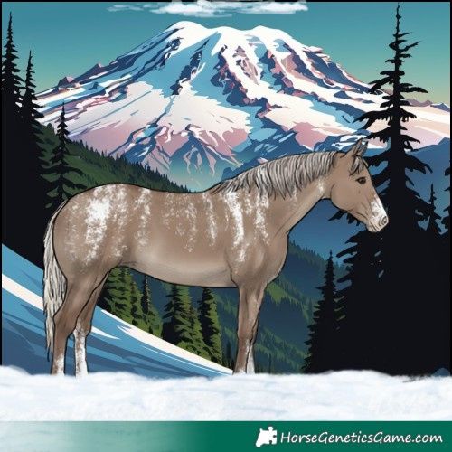 Horse Color:Powder White Silver Grullo 
