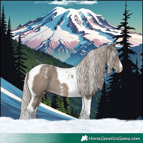 Horse Color:Powder White Silver Grullo Tobiano Rabicano