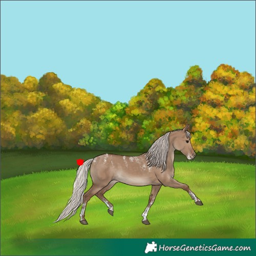Horse Color:Powder White Silver Grullo 