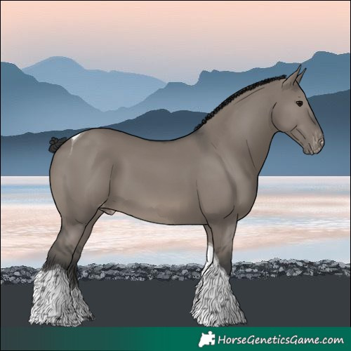 Horse Color:Grullo Tobiano Varnish