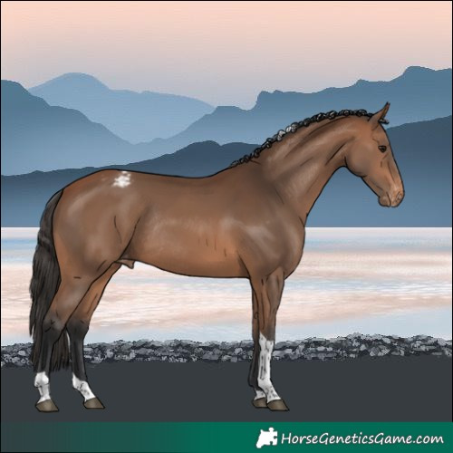 Horse Color:Bay Tobiano Varnish Rabicano
