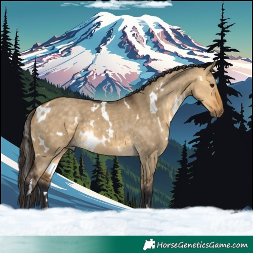 Horse Color:White Spotted Buckskin Dun 