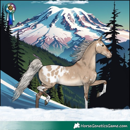 Horse Color:White Spotted Silver Brown Dun Tobiano Blanket