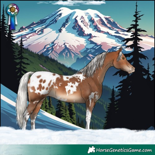 Horse Color:White Spotted Silver Brown Tobiano Blanket