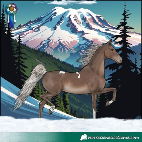 Horse Color:Silver Black Tobiano Varnish