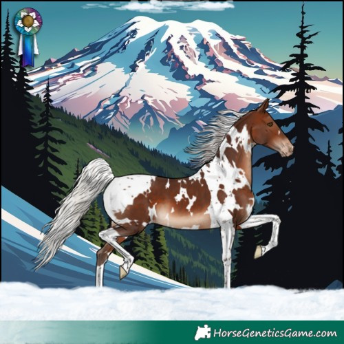 Horse Color:White Spotted Silver Brown Tobiano Varnish 