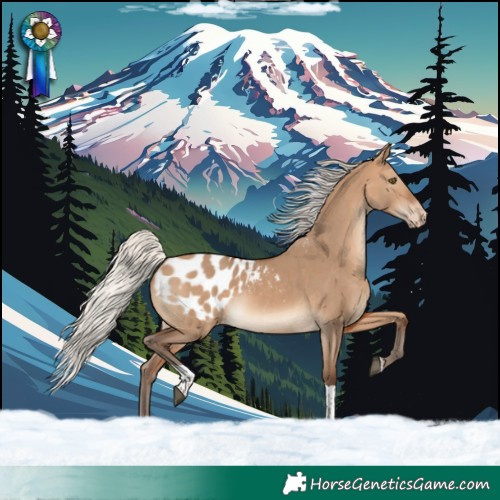 Horse Color:Silver Brown Dun Tobiano Blanket