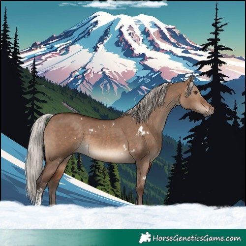 Horse Color:White Spotted Silver Brown Dun Tobiano