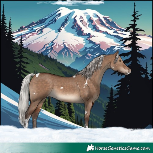 Horse Color:White Spotted Silver Brown Dun Tobiano