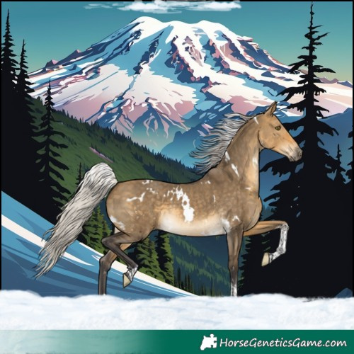 Horse Color:White Spotted Silver Buckskin Dun Tobiano