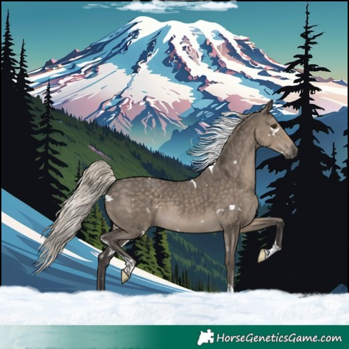 Horse Color:White Spotted Silver Smoky Grullo Tobiano 