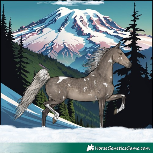 Horse Color:White Spotted Silver Smoky Grullo Tobiano