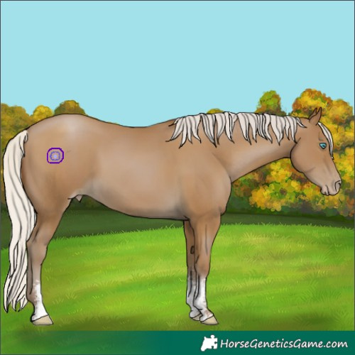 Horse Color:Gray Silver Smoky Black Pearl Sabino