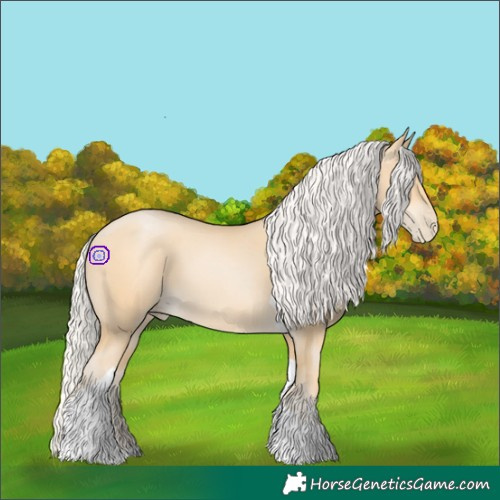 Horse Color:Silver Smoky Black Pearl Tobiano